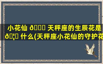 小花仙 🍀 天秤座的生辰花是 🦁 什么(天秤座小花仙的守护花是什么)